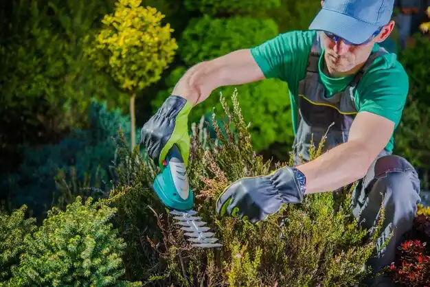 landscaping services Plantation
